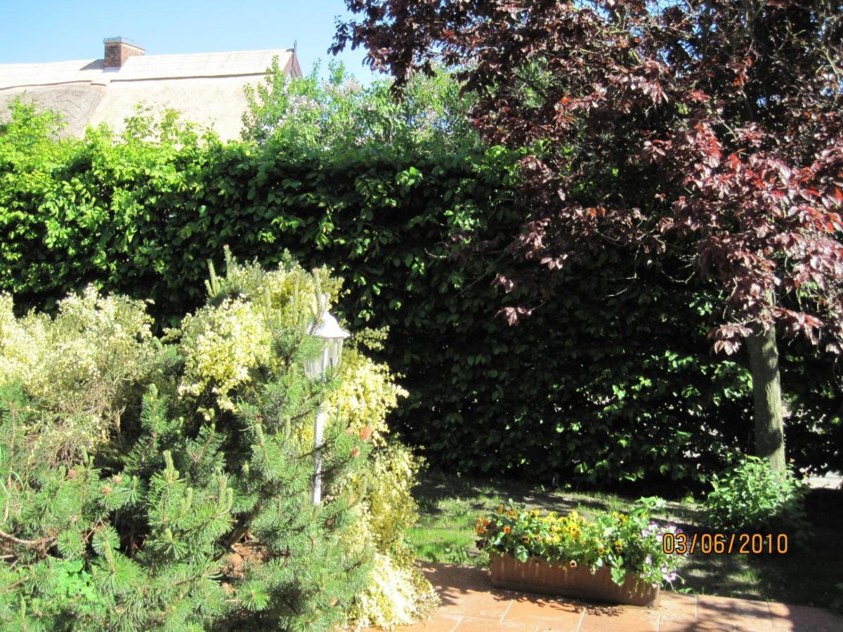 Pension Haus Anneliese Uckeritz Esterno foto