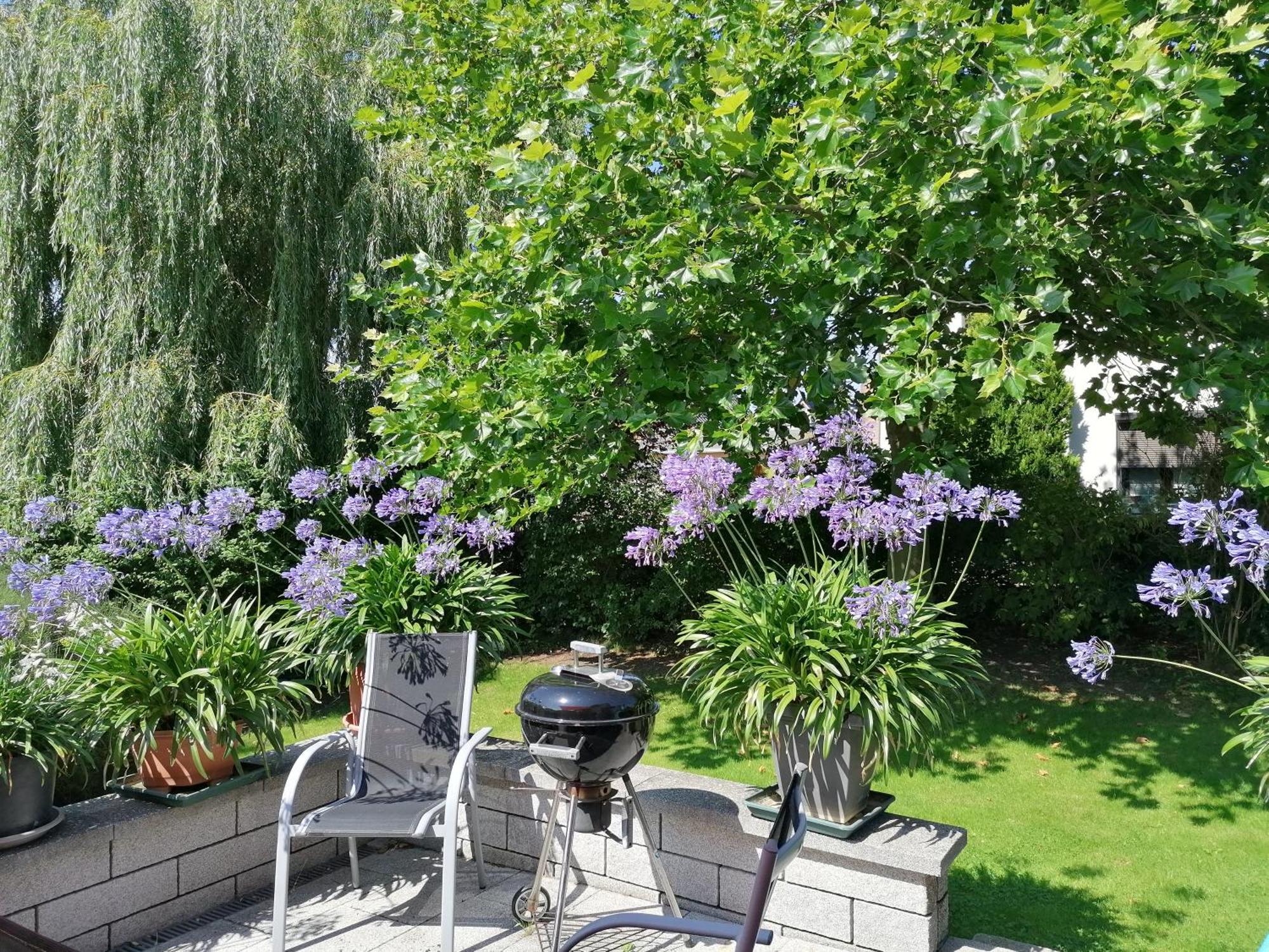 Pension Haus Anneliese Uckeritz Esterno foto