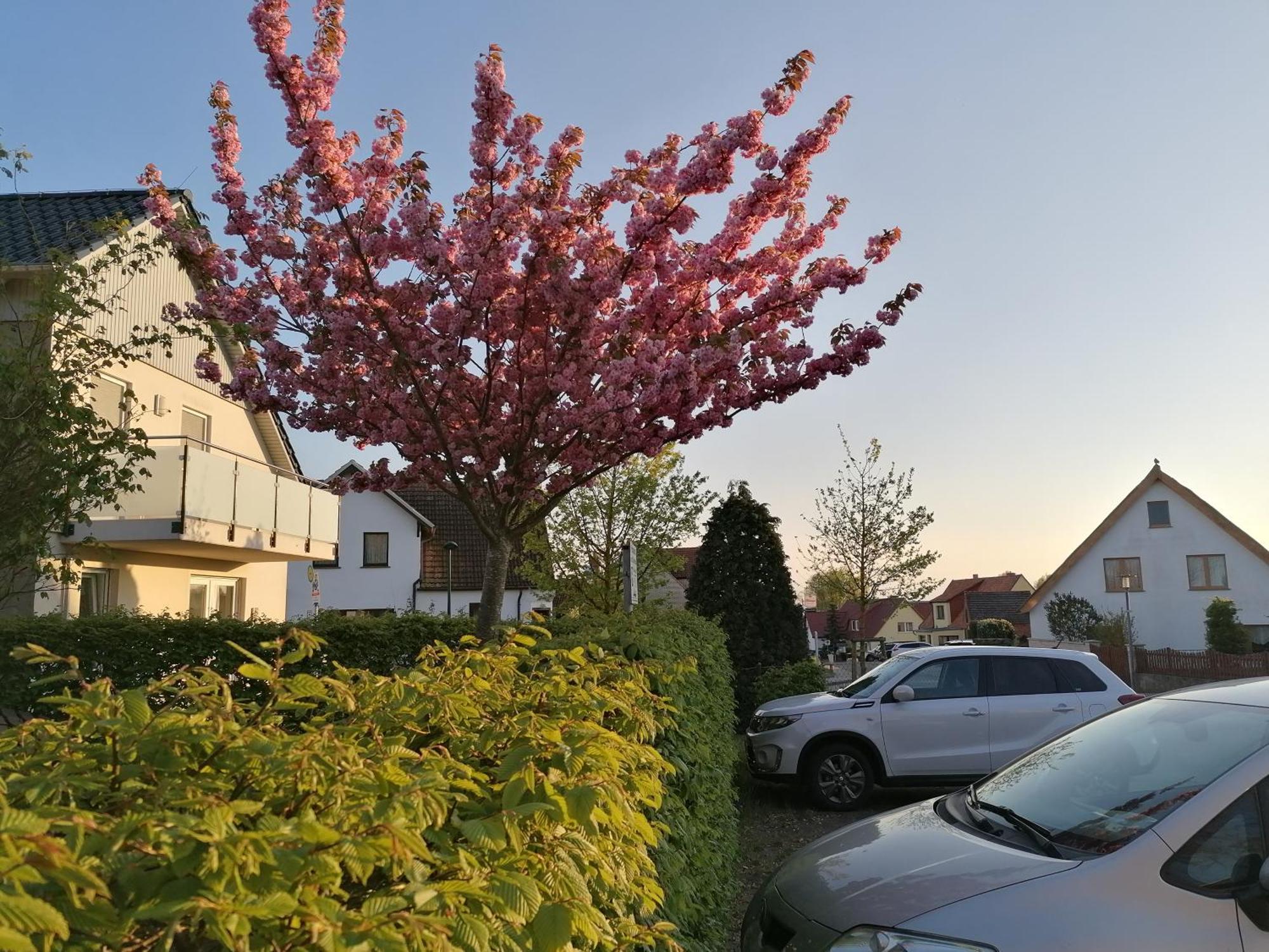 Pension Haus Anneliese Uckeritz Esterno foto