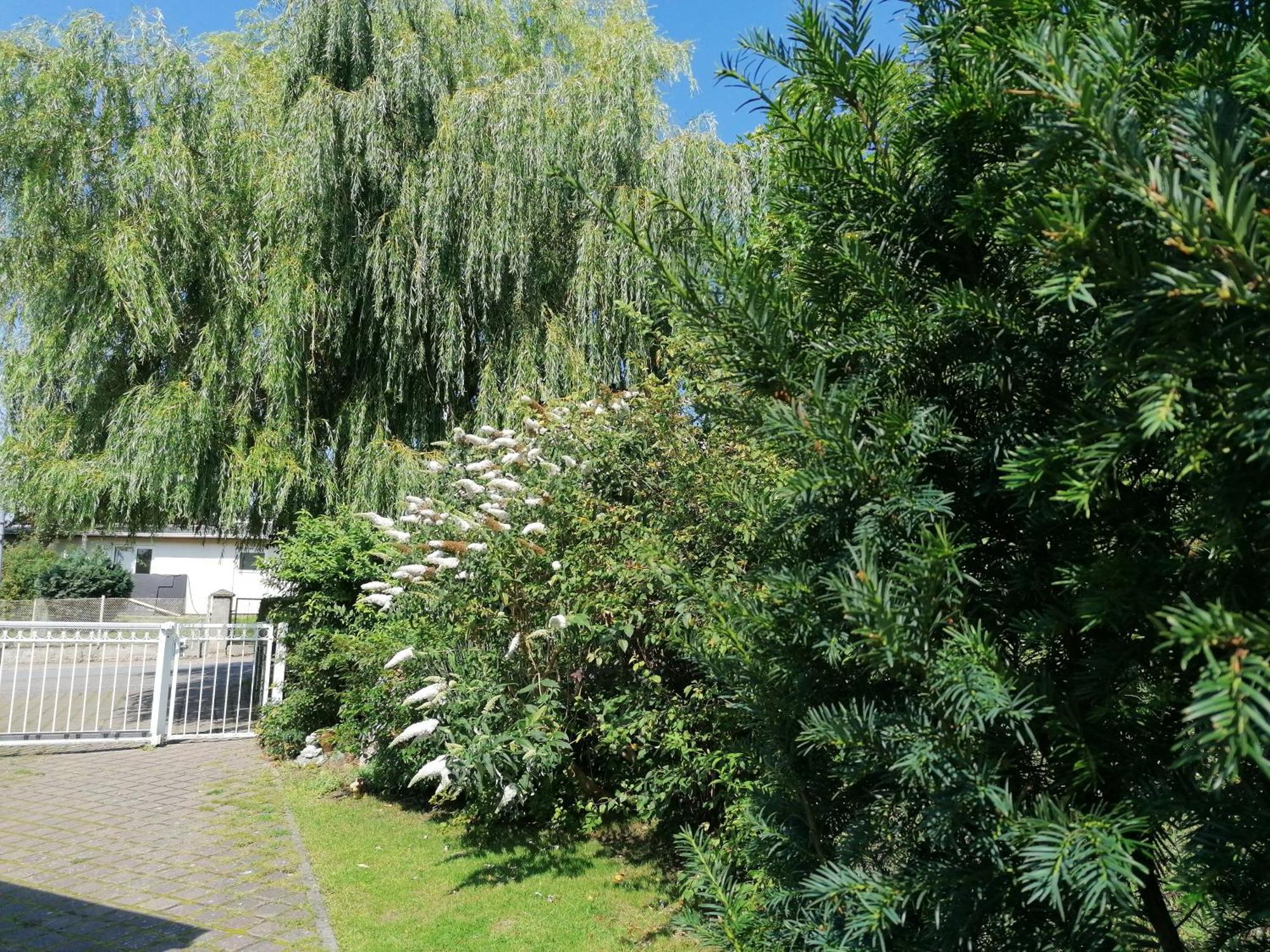 Pension Haus Anneliese Uckeritz Esterno foto