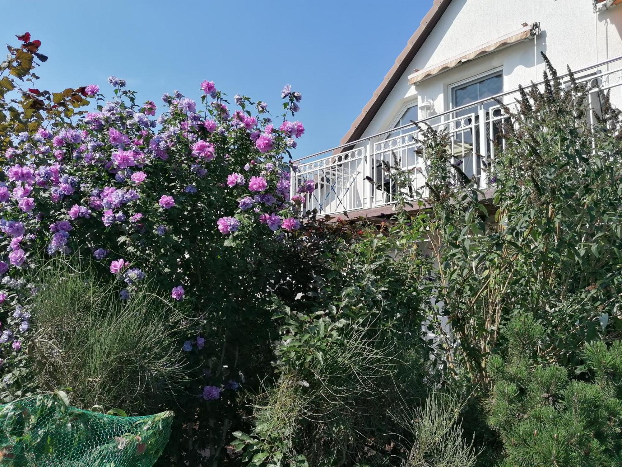 Pension Haus Anneliese Uckeritz Esterno foto