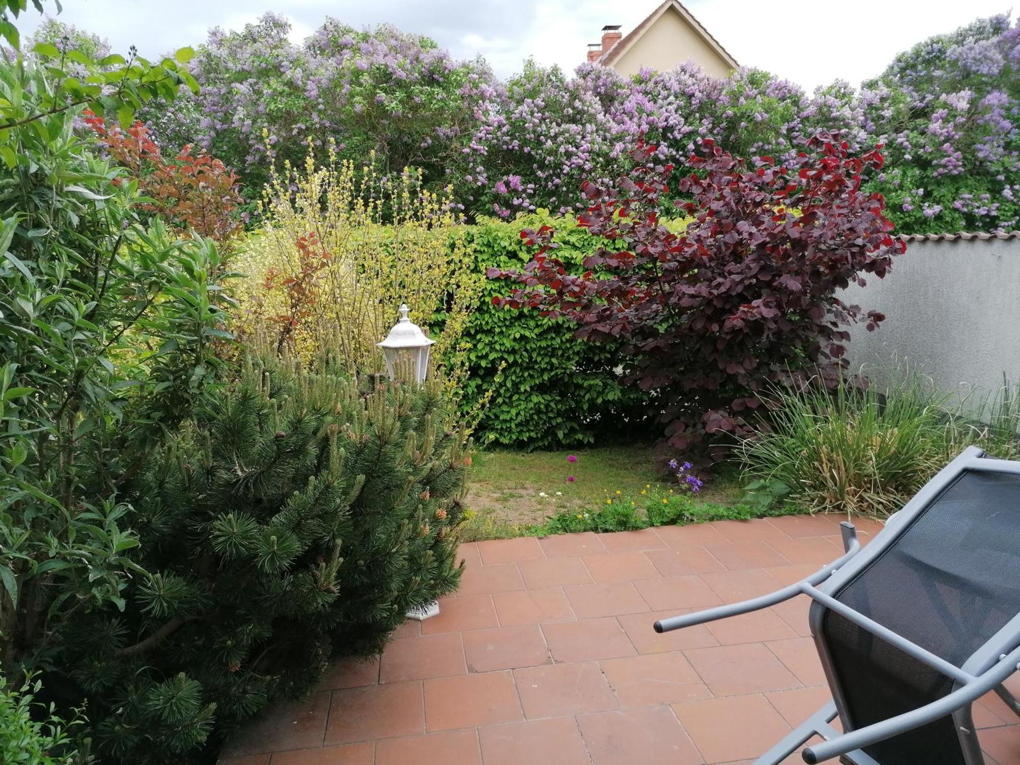 Pension Haus Anneliese Uckeritz Esterno foto